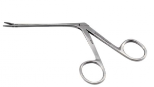 Screen Shot 2021 10 01 At 1.09.50 Pm