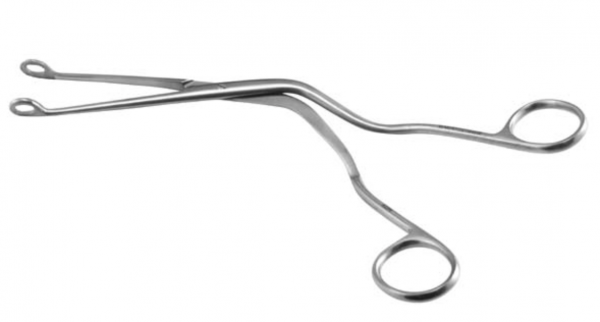 Screen Shot 2021 10 01 At 2.48.54 Pm