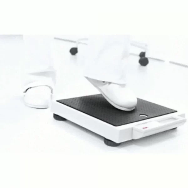 Seca 876 Flat Scale Seca